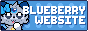Blueberry Website